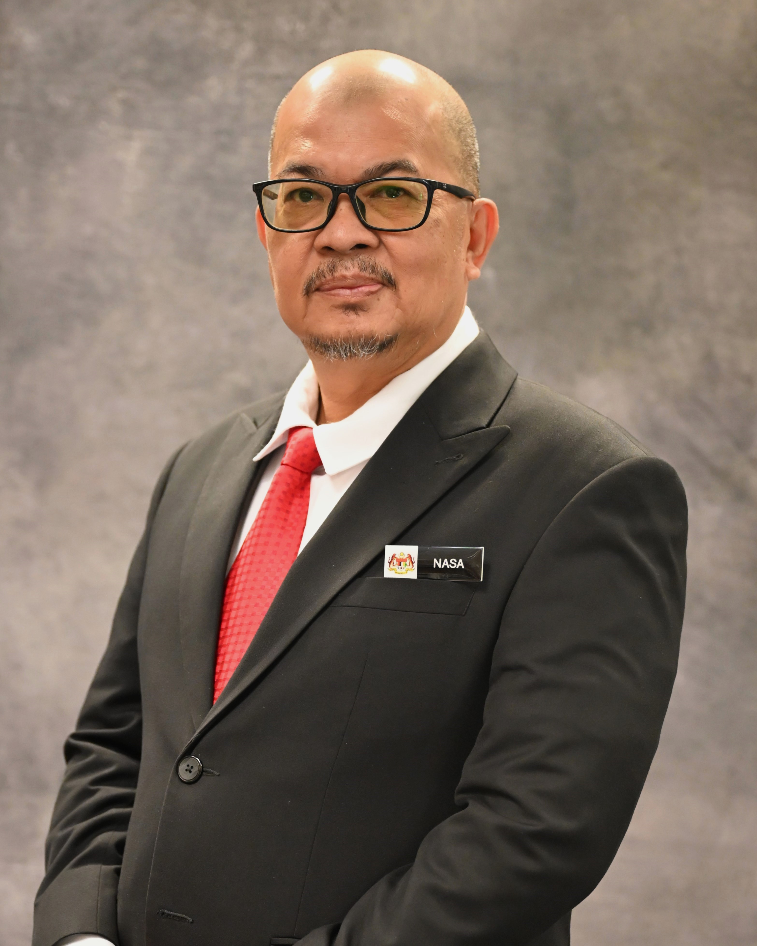 Timbalan Pengarah